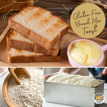 Gluten Free Bread Mix - Toast